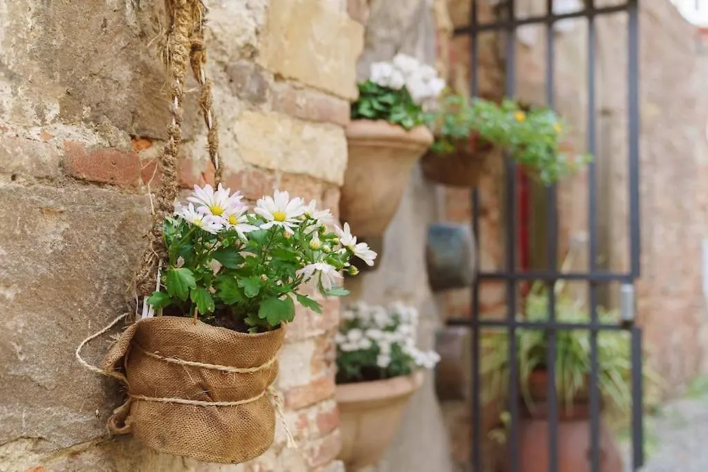 Corte Paolina - Charming Courtyard Inside Lucca Apartment