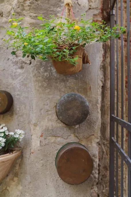 Corte Paolina - Charming Courtyard Inside Lucca Italy